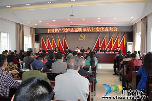 泸县嘉明镇第七次党代会胜利闭幕(图3)