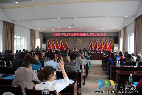 泸县嘉明镇第七次党代会胜利闭幕(图1)