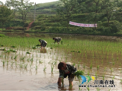 泸县方洞：组织“助耕队”扶贫入户(图2)