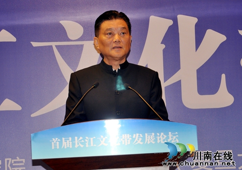 首届长江文化带发展论坛形成《泸州共识》(图9)