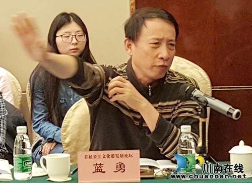 首届长江文化带发展论坛形成《泸州共识》(图6)
