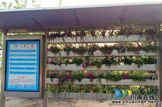 内江建园林式公交站台 两天内绿植基本被偷光(图1) 内江建园林式公交站台 两天内绿植基本被偷光(图1)
