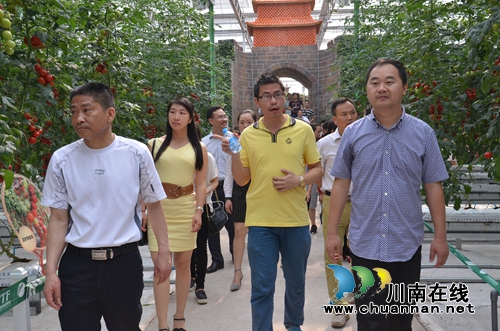 华阳街道干部职工参观董允坝现代农业示范区(图1) 华阳街道干部职工参观董允坝现代农业示范区(图1)