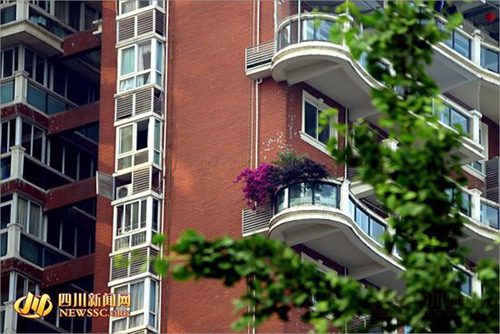 宜宾城区现“十里花街” 市民坐拥摄影盛地(图4) 宜宾城区现“十里花街” 市民坐拥摄影盛地(图4)