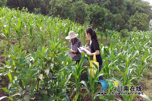 合江县白沙司法所持续推进“法律八进”工作(图1) 合江县白沙司法所持续推进“法律八进”工作(图1)