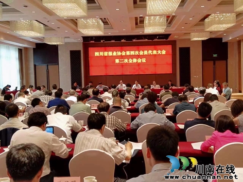 泸州酒城新报常务副总夏艳当选省报协常务理事(图2) 泸州酒城新报常务副总夏艳当选省报协常务理事(图2)