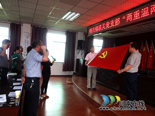 特兴镇开展“两重温两对照”主题党日活动(图1)