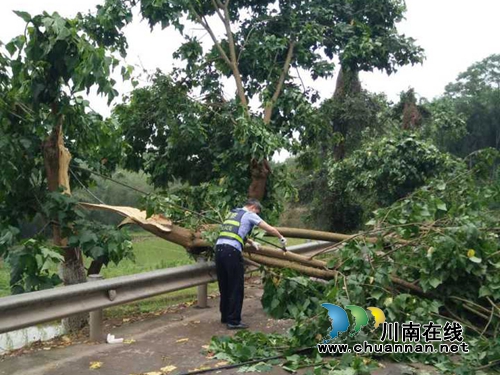 狂风暴雨阻碍道路 宜宾县交管大队全力排障保畅(图1) 狂风暴雨阻碍道路 宜宾县交管大队全力排障保畅(图1)