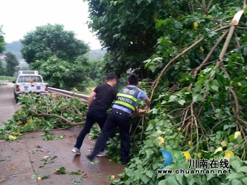 狂风暴雨阻碍道路 宜宾县交管大队全力排障保畅(图2) 狂风暴雨阻碍道路 宜宾县交管大队全力排障保畅(图2)