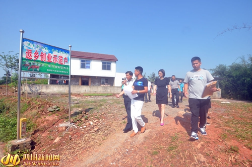 乡村变牧场 90后“牛倌”打造宜宾“肉牛名片”(图3) 乡村变牧场 90后“牛倌”打造宜宾“肉牛名片”(图3)