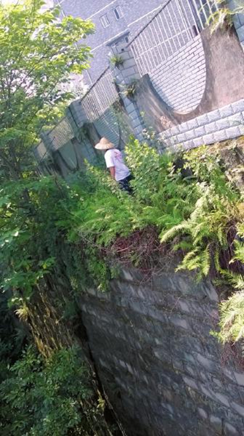 自贡:学生读书抄道“悬崖路” 仅容双脚并行(图1) 自贡:学生读书抄道“悬崖路” 仅容双脚并行(图1)