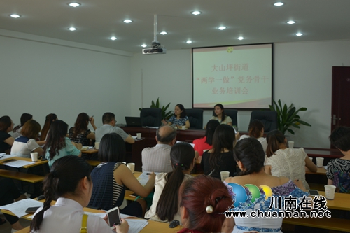 大山坪街道开展“两学一做”专题培训会(图1)