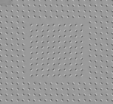 心理学上最诡异的14张图,准得让人尖叫!(图5) 心理学上最诡异的14张图,准得让人尖叫!(图5)