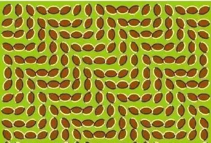 心理学上最诡异的14张图,准得让人尖叫!(图14) 心理学上最诡异的14张图,准得让人尖叫!(图14)