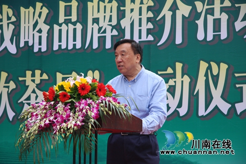 纳溪中国特早茶体验中心正式运营(图7) 纳溪中国特早茶体验中心正式运营(图7)