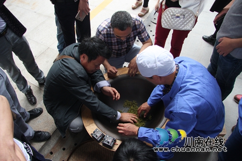 纳溪中国特早茶体验中心正式运营(图13) 纳溪中国特早茶体验中心正式运营(图13)
