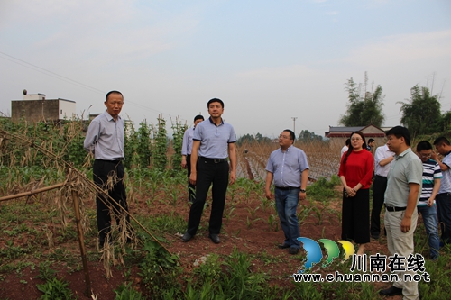 泸县副县长肖刚到嘉明镇督查重点项目建设情况(图1)