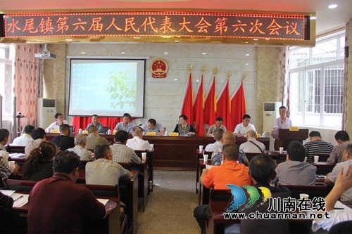 叙永水尾镇选举产生新一届镇长(图4)