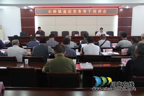 泸县石桥镇组织开展基层党务骨干业务培训会(图1) 泸县石桥镇组织开展基层党务骨干业务培训会(图1)