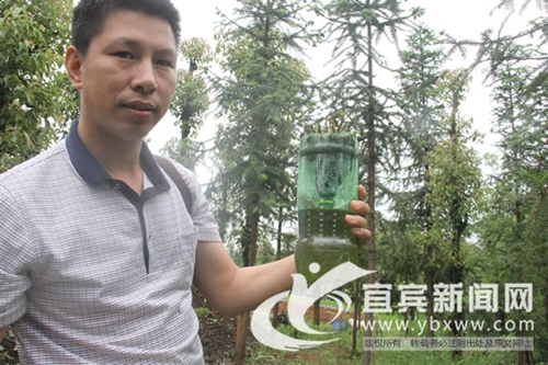 宜宾返乡青年 废旧瓶里“淘黄金”(图1) 宜宾返乡青年 废旧瓶里“淘黄金”(图1)