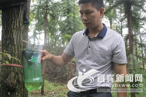 宜宾返乡青年 废旧瓶里“淘黄金”(图4) 宜宾返乡青年 废旧瓶里“淘黄金”(图4)