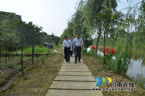 泸县县委副书记张兵调研太伏镇农业专合社发展工作(图1)