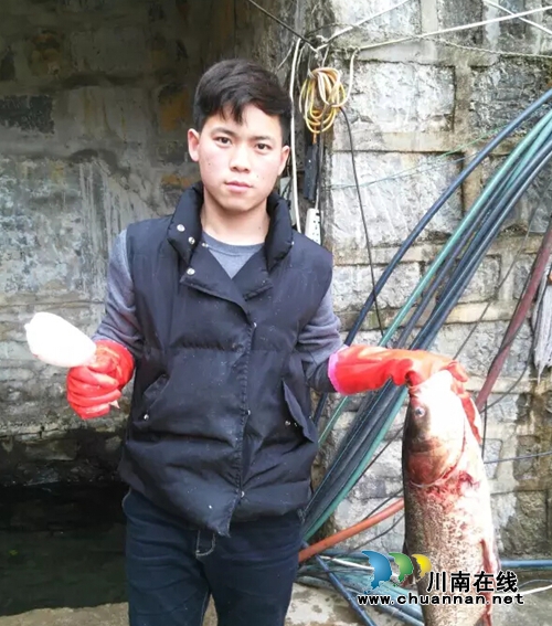 泸州古蔺山村卖鱼娃 追梦中国好声音(图1) 泸州古蔺山村卖鱼娃 追梦中国好声音(图1)
