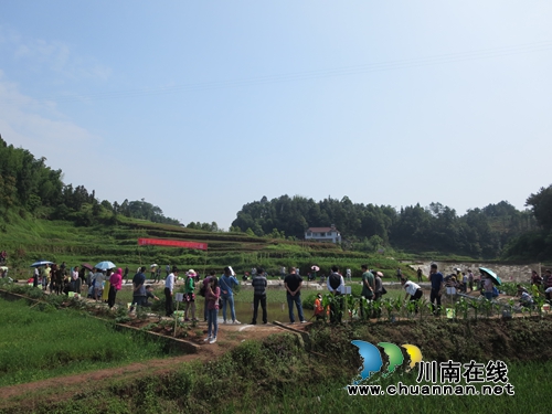 宜宾林丰乡举办首届生态龙虾垂钓比赛(图3)