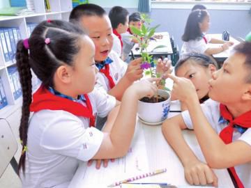 泸州统一义务教育学校生均公用经费基准定额(图1)