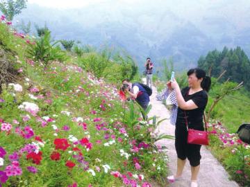 宜宾：十大主题花海&nbsp;打造西部最美第一香村(图1)
