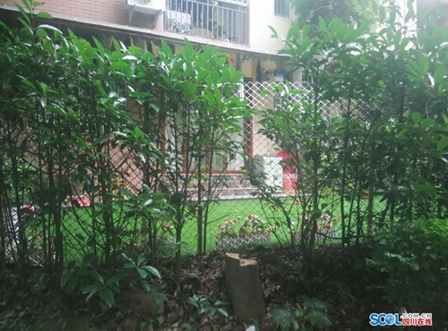 泸州龙马潭有人“圈地”建花园&nbsp;整改8个月未果(图1)
