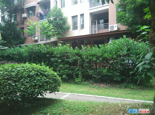 泸州龙马潭有人“圈地”建花园&nbsp;整改8个月未果(图2)