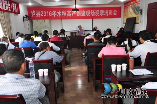 泸县召开2016年水稻高产创建现场观摩培训会(图3) 泸县召开2016年水稻高产创建现场观摩培训会(图3)