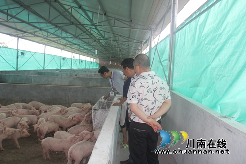 泸县毗卢镇加强畜产品安全检查(图2)