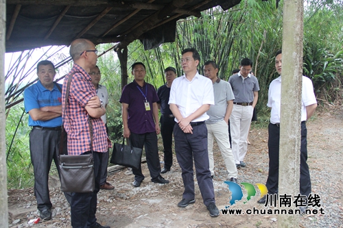 泸县县委书记郭庆到石桥镇调研(图1)