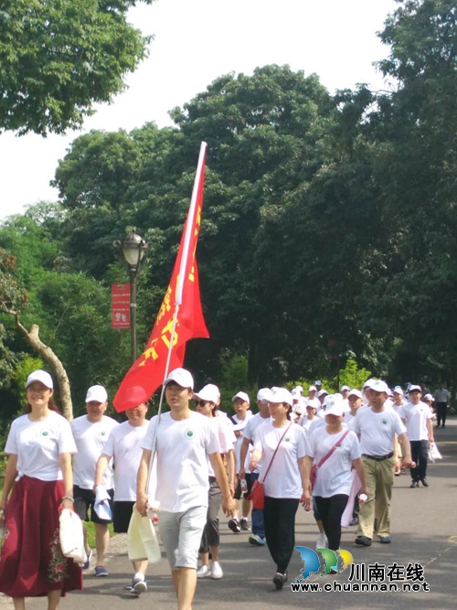 江阳区开展“6•5世界环境日”徒步活动(图1)