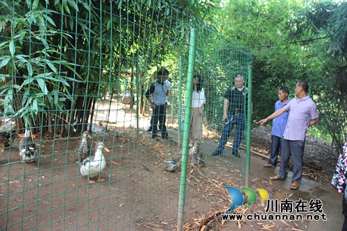 合江县司法局组织贫困户代表赴养殖基地“取经”(图2) 合江县司法局组织贫困户代表赴养殖基地“取经”(图2)