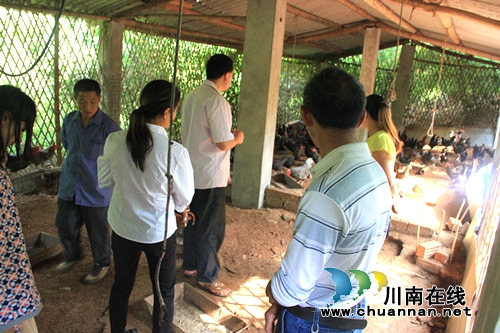 合江县司法局组织贫困户代表赴养殖基地“取经”(图1) 合江县司法局组织贫困户代表赴养殖基地“取经”(图1)
