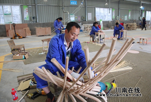 泸州纳溪:林下循环经济做实脱贫增收(图7) 泸州纳溪:林下循环经济做实脱贫增收(图7)
