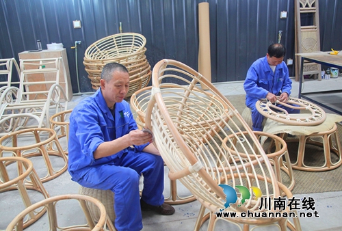 泸州纳溪:林下循环经济做实脱贫增收(图8) 泸州纳溪:林下循环经济做实脱贫增收(图8)