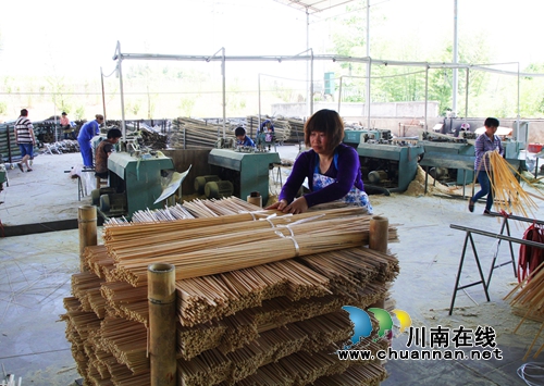 泸州纳溪:林下循环经济做实脱贫增收(图9) 泸州纳溪:林下循环经济做实脱贫增收(图9)