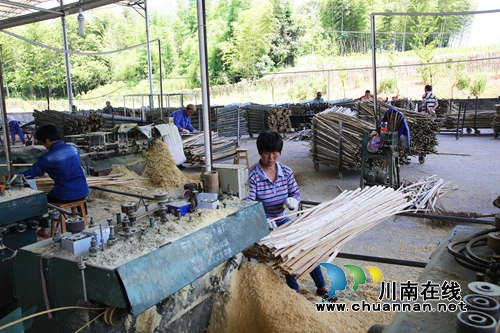 泸州纳溪:林下循环经济做实脱贫增收(图10) 泸州纳溪:林下循环经济做实脱贫增收(图10)