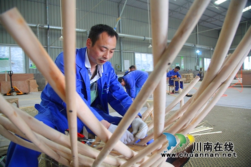 泸州纳溪:林下循环经济做实脱贫增收(图6) 泸州纳溪:林下循环经济做实脱贫增收(图6)