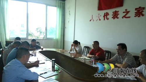 宜宾南溪区人大调研长兴镇人大代表换届选举工作(图1)