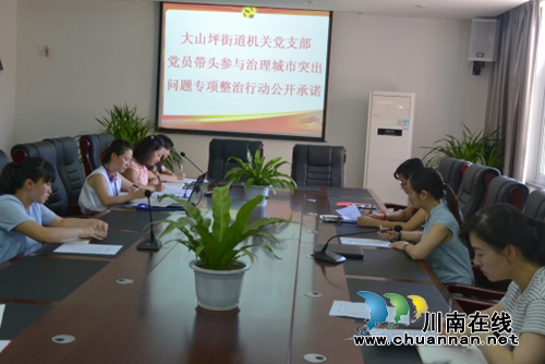 大山坪街道：机关党员集中签订专项整治承诺书(图1)