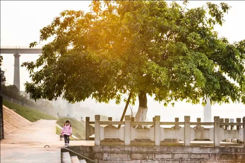 泸州：纳溪摄影作品征集&nbsp;万元大奖等你拿(图2)