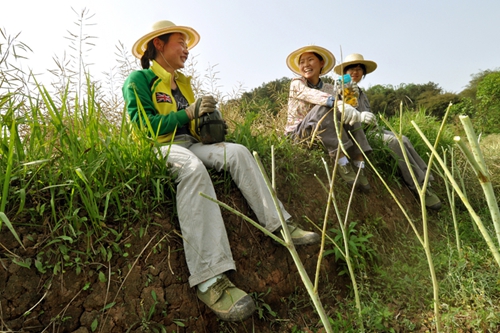 泸州：纳溪摄影作品征集&nbsp;万元大奖等你拿(图5)