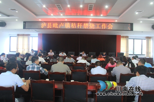 泸县毗卢镇召开2016年秸秆禁烧工作会(图1)
