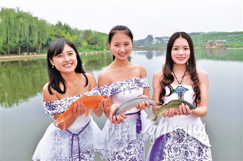 内江:打造具有影响力的“内江造”农业品牌(图1) 内江:打造具有影响力的“内江造”农业品牌(图1)