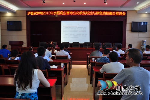 泸县农林局召开水稻病虫害统防统治与绿色防控推进会(图1)